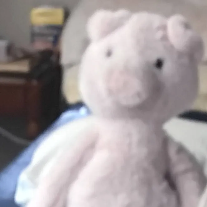 chat with ai character: rosa