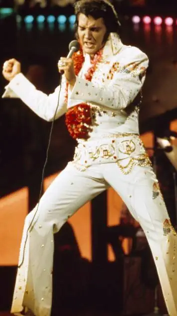 ai character: Elvis Presley background