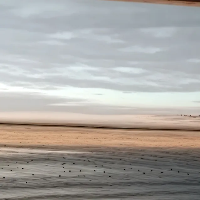 chat with ai character: Stars World 