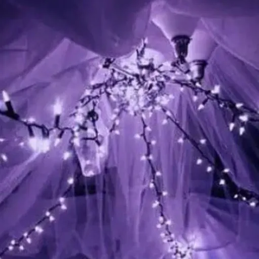 chat with ai character: Sonic wlawdj