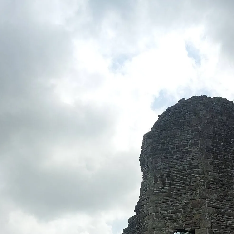 chat with ai character: chaos under a roof