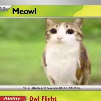 chat with ai character: meowl Pokemon