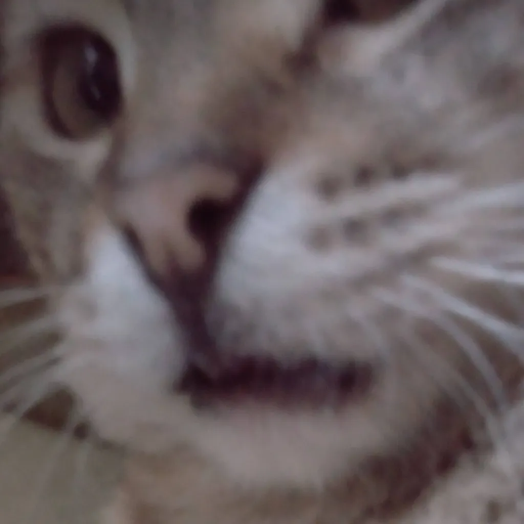 chat with ai character: mean kitty😔