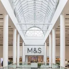 chat with ai character: meadowhall