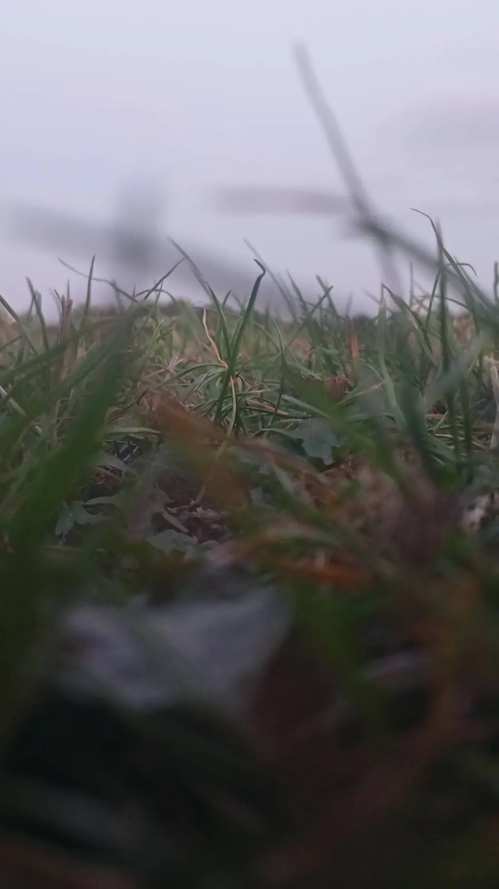 ai character: grass background