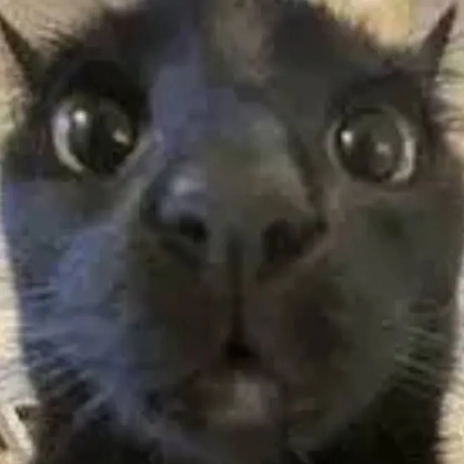 chat with ai character: mean cat