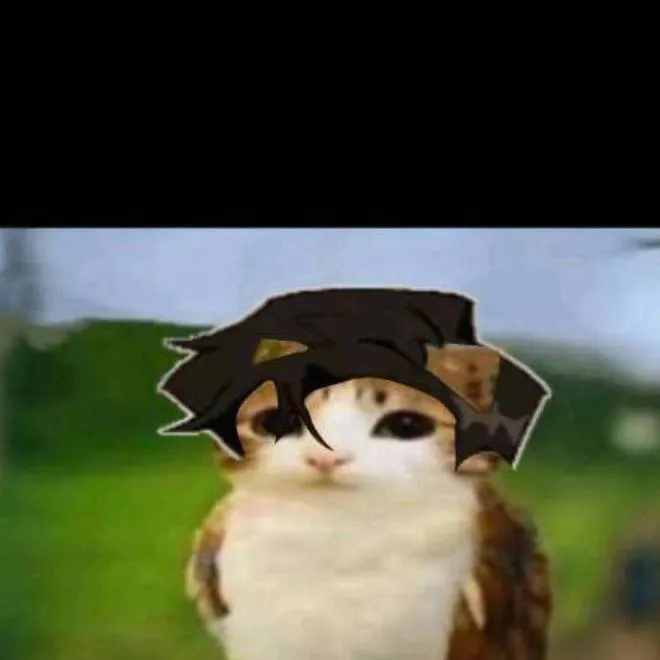 chat with ai character: cat owl electric