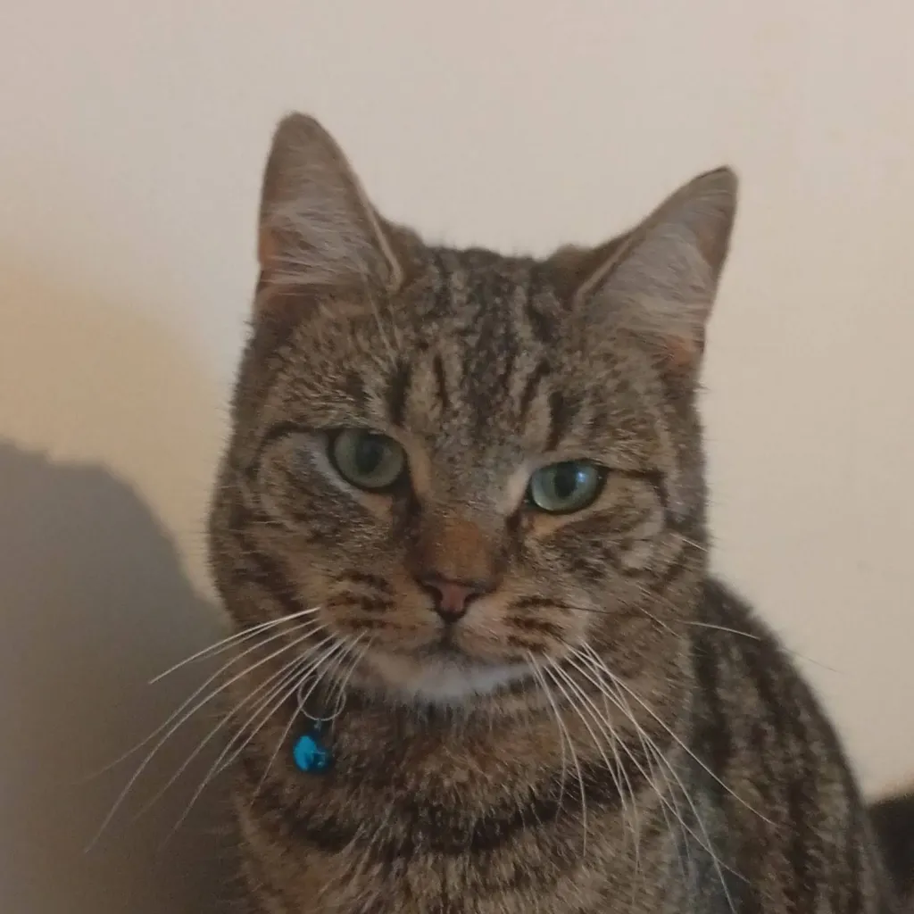 chat with ai character: scar