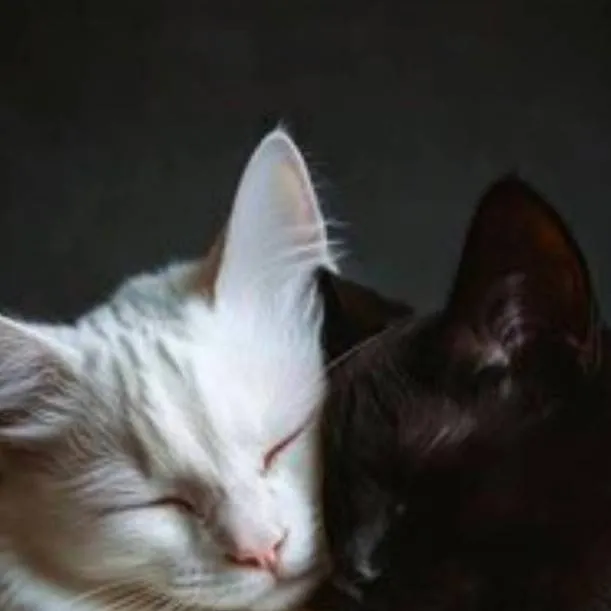 chat with ai character: w and b sleep 