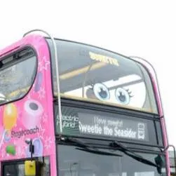 chat with ai character: sweetie