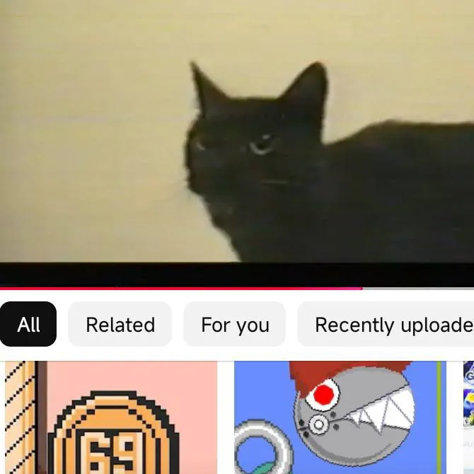 chat with ai character: singing cat