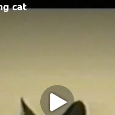 chat with ai character: singing cat 2.0