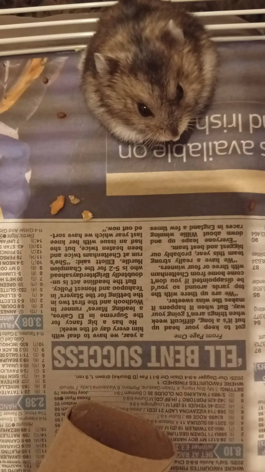 ai character: Jasmine background