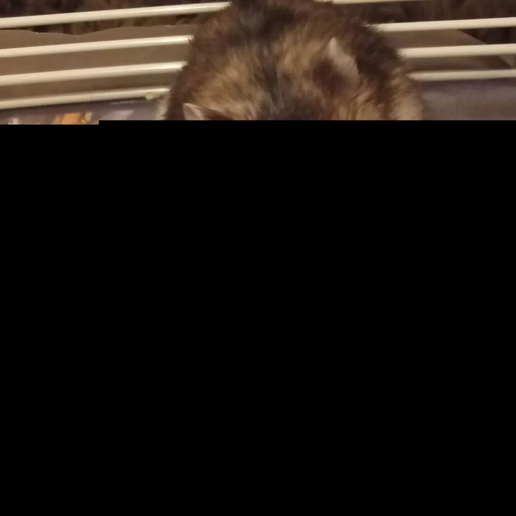 chat with ai character: Jasmine