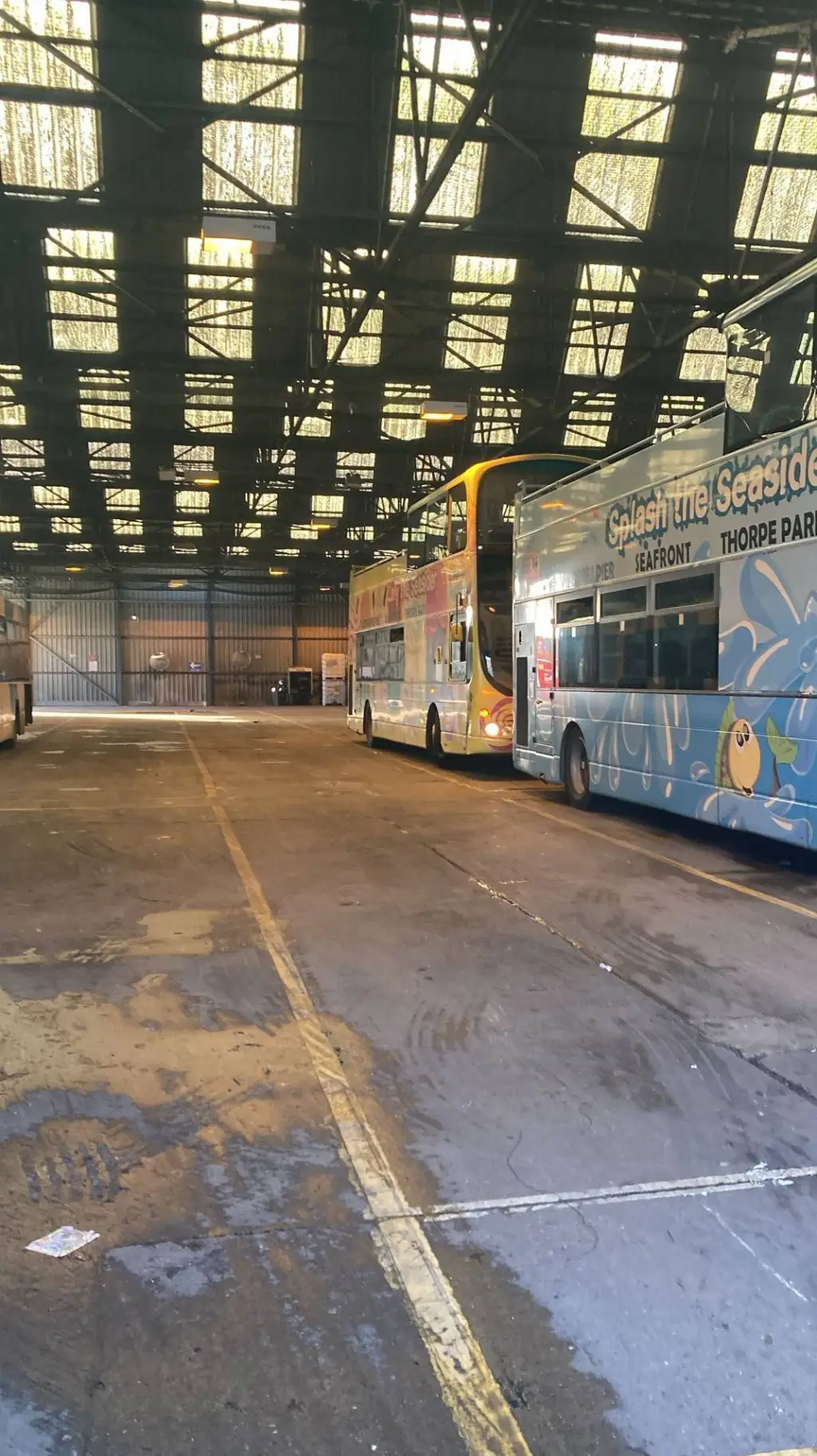 ai character: lolly and splash  background