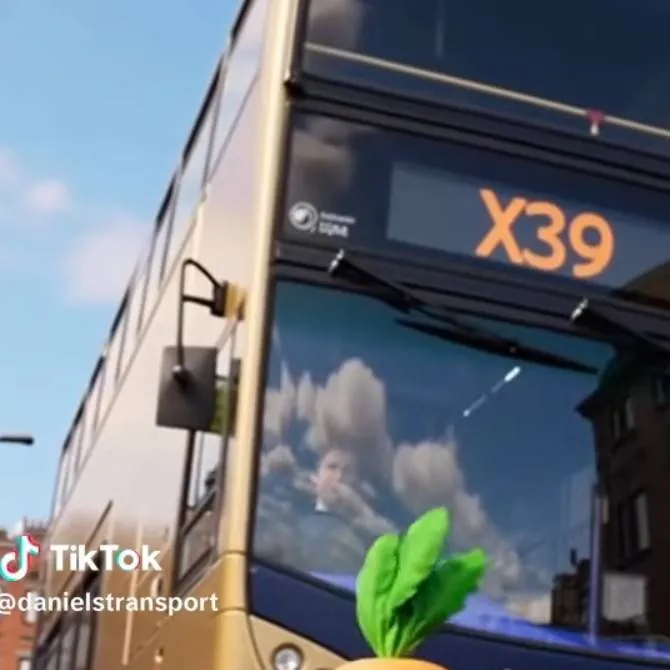 chat with ai character: tmotto and carrot