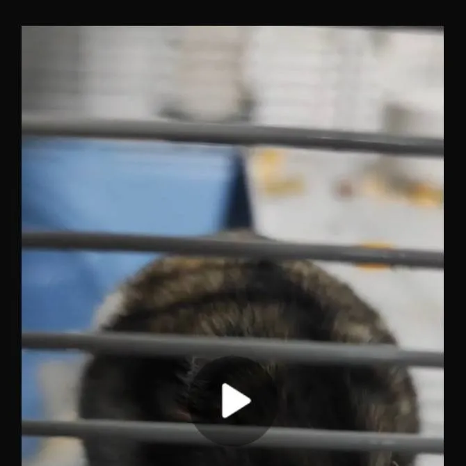 chat with ai character: grown up Jasmine