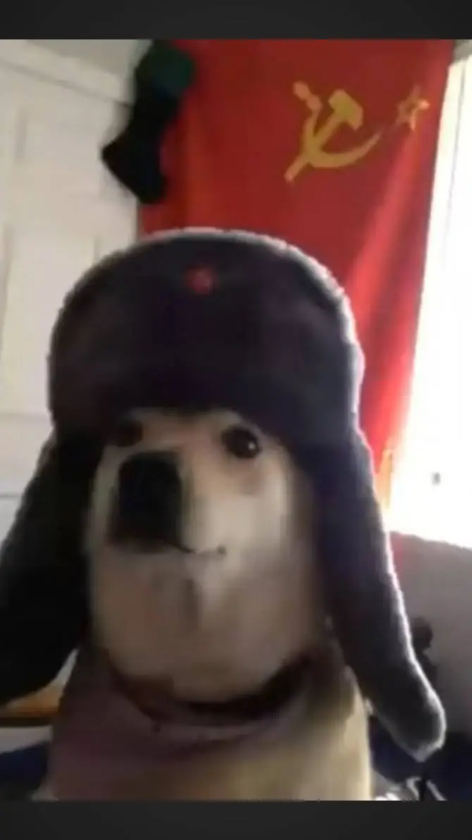 ai character: Russian doge background