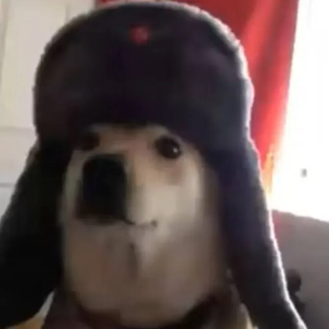 chat with ai character: Russian doge