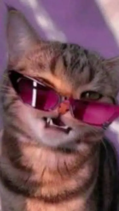 ai character: sassy cat background