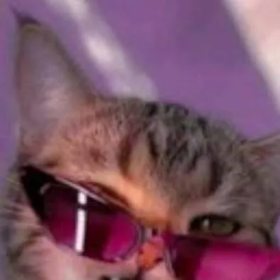chat with ai character: sassy cat
