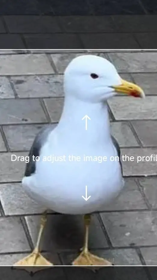 ai character: Mr seagull background