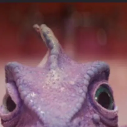 chat with ai character: Experian chameleon