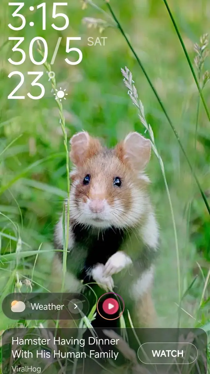 ai character: hamster  background
