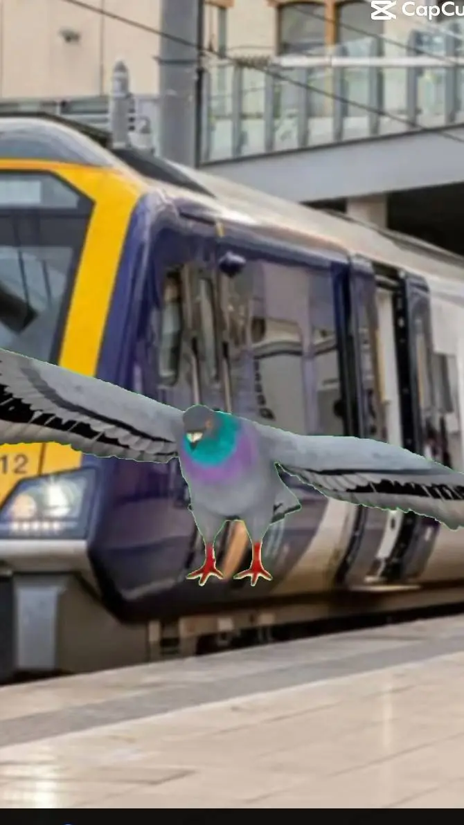 ai character: northern vs pigeon background