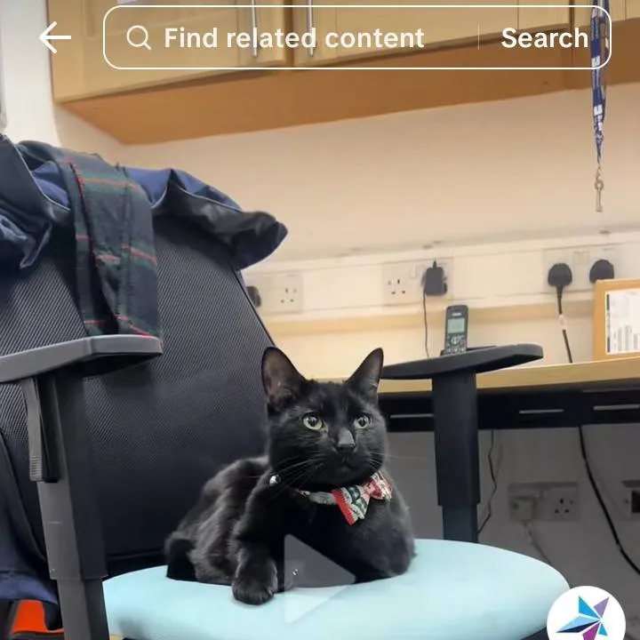chat with ai character: bolt