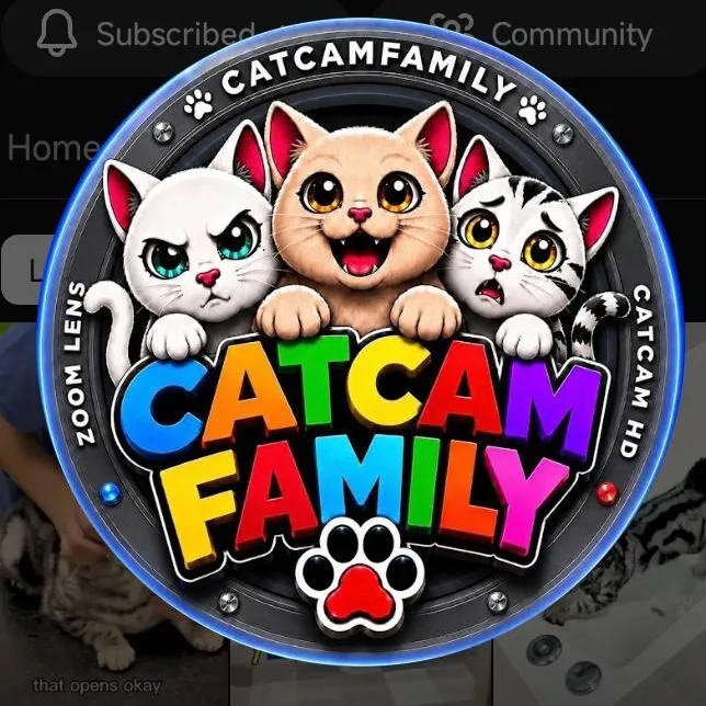 chat with ai character: catcam family 