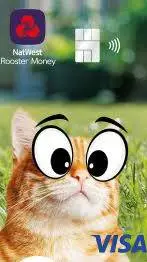 ai character: hyper cat background
