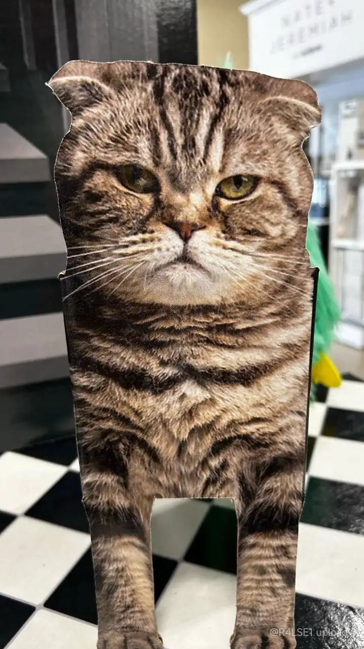 ai character: cardboard cat background
