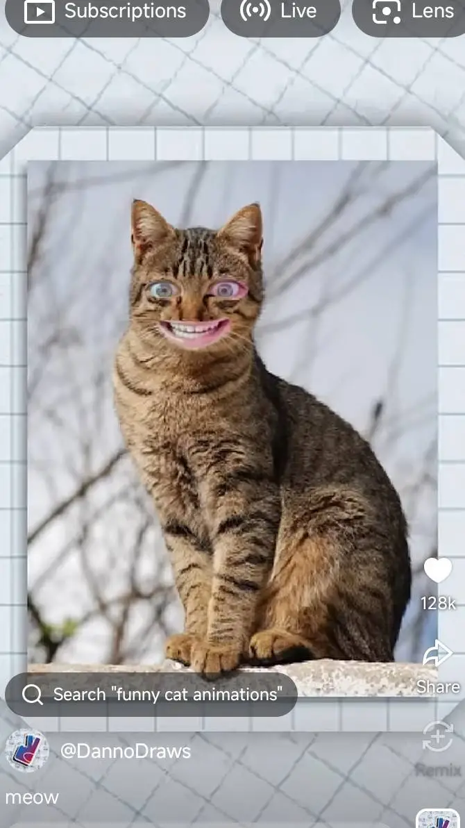 ai character: crazy cat background