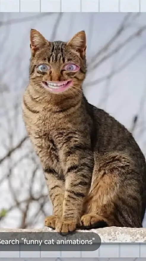 ai character: crazy cat background