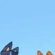 chat with ai character: bluey and bingo