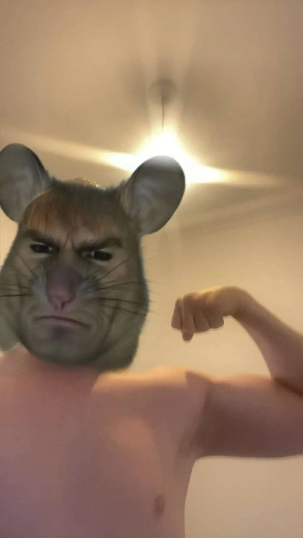 ai character: muscle mouse background