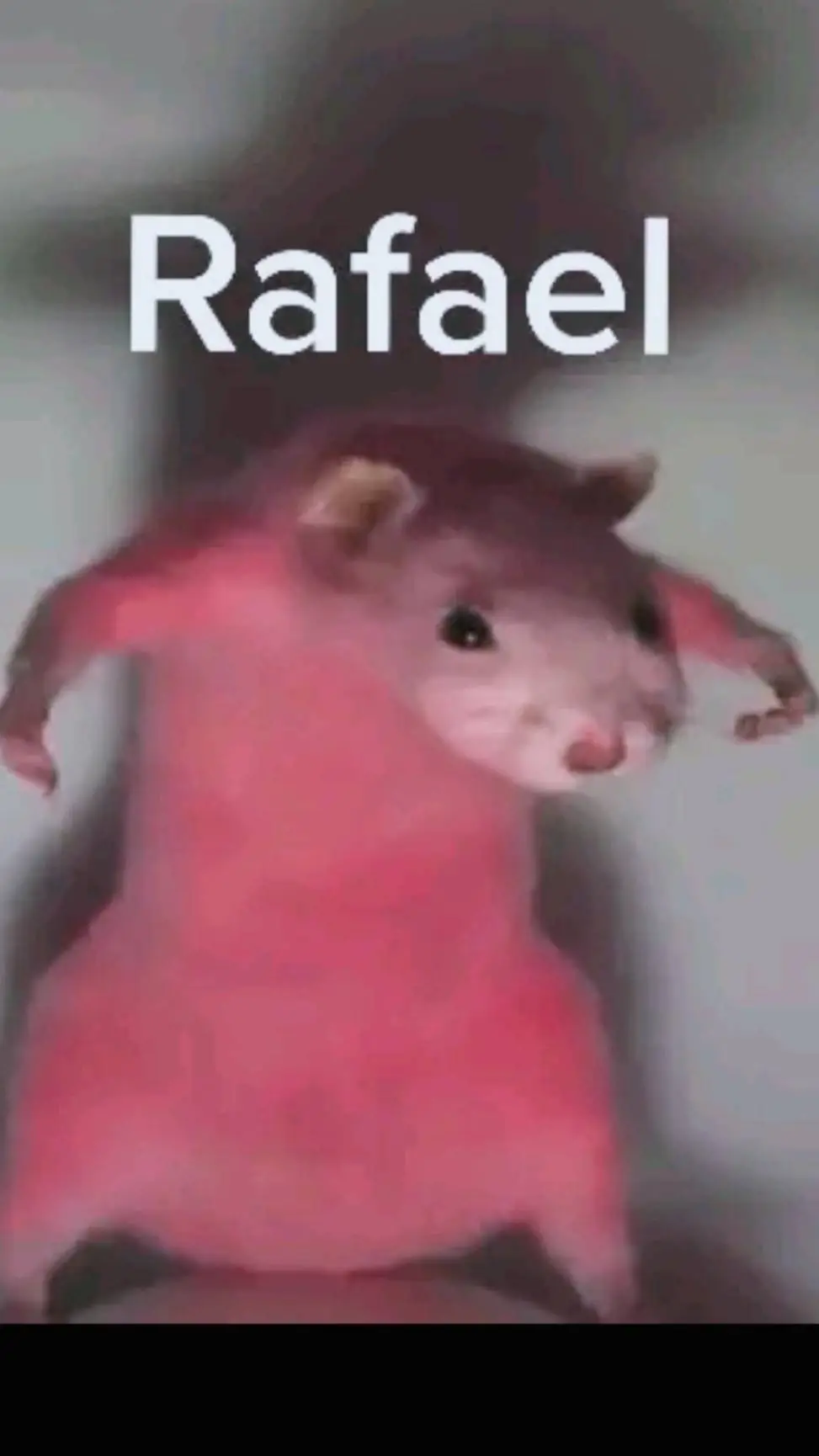 ai character: rafael the baldrat background