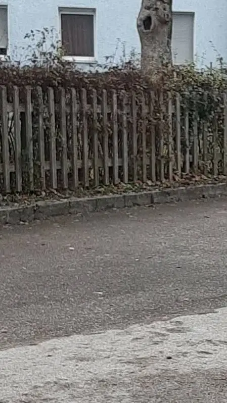 ai character: >Klassenfahrt< background