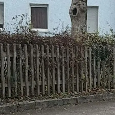 chat with ai character: >Klassenfahrt<