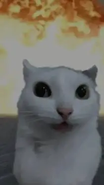ai character: guilty cat lol background