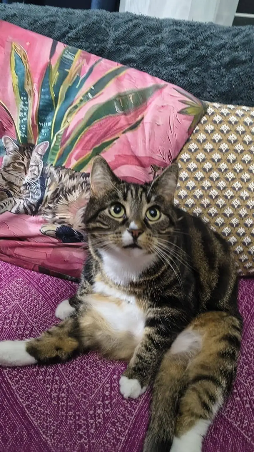 ai character: Bread background