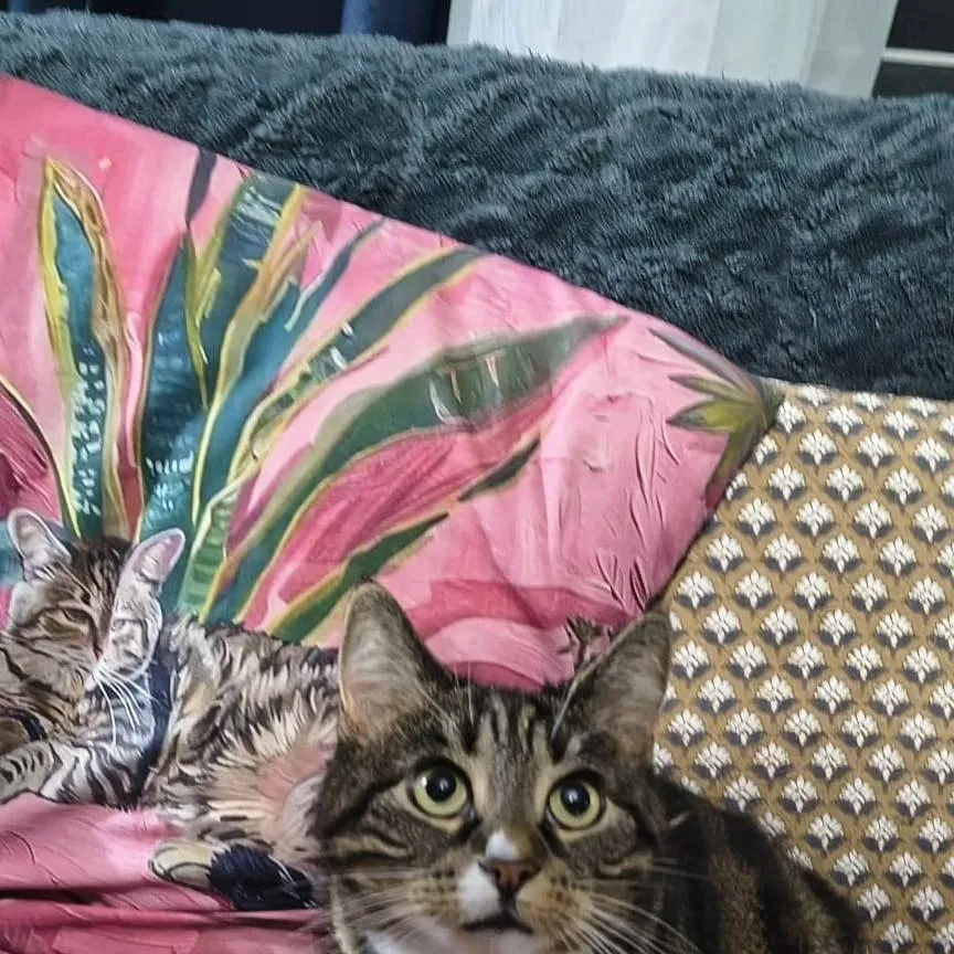 chat with ai character: Bread