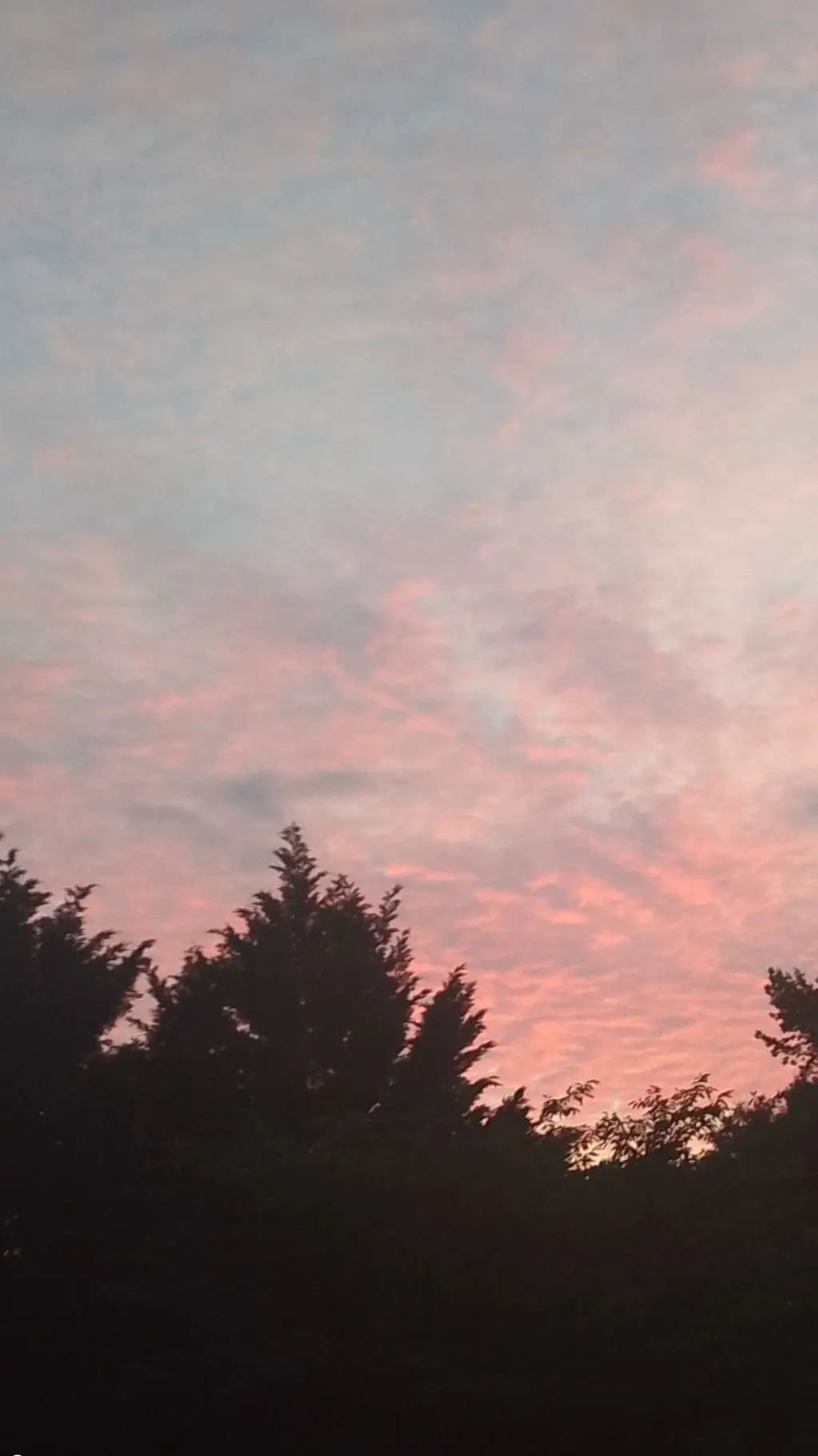 ai character: Mm2 boy love story background