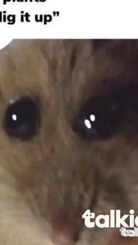 ai character: IM SAD NOW- background