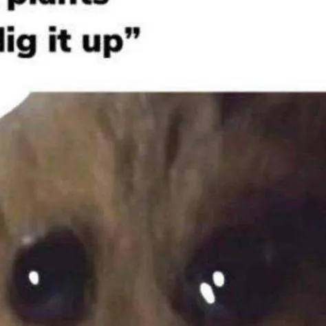 chat with ai character: IM SAD NOW-