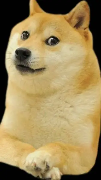 Talkie AI - Chat with doge man