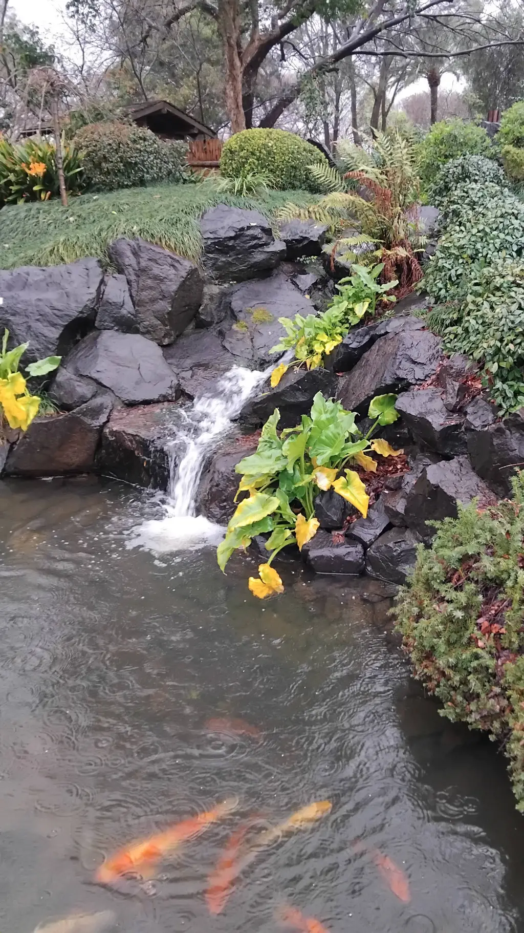 ai character: Empires SMP(FH RP) background