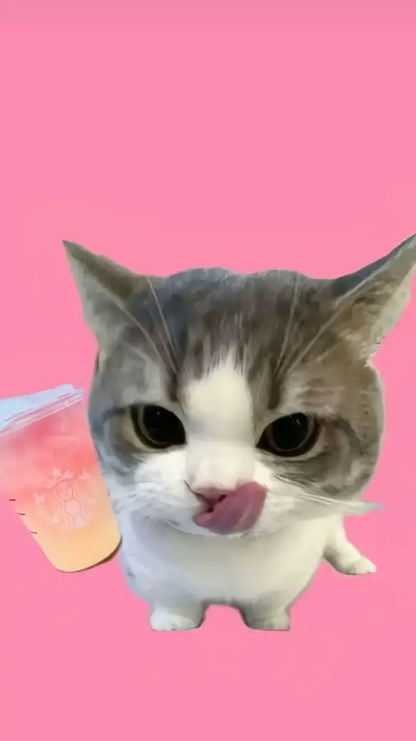 ai character: gatitos lindos👄💅😘 background