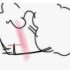 chat with ai character: shesdleskix007n7😏☺